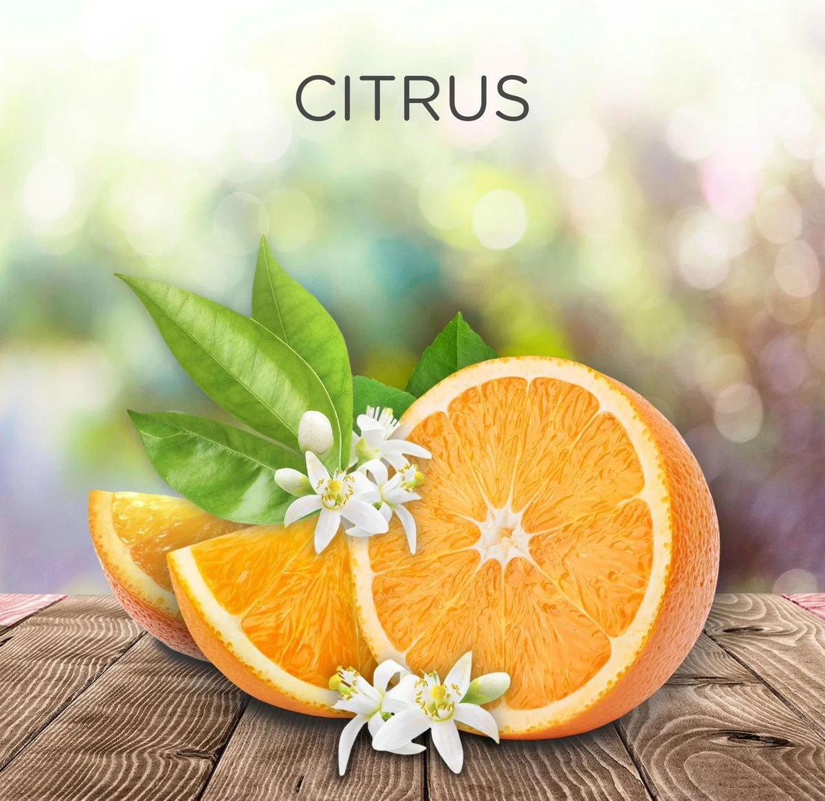 AirWick Désodorisant Bouchon Parfumé Agrumes Recharge, 19 Ml 4 AirWick Désodorisant Bouchon Parfumé Agrumes Recharge, 19 Ml – Image 2