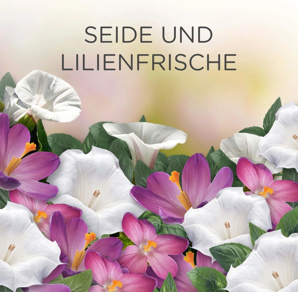 Recharge De Désodorisant AirWick Silk & Lily Fresh Plug, 19 Ml 6 Recharge De Désodorisant AirWick Silk & Lily Fresh Plug, 19 Ml – Image 4