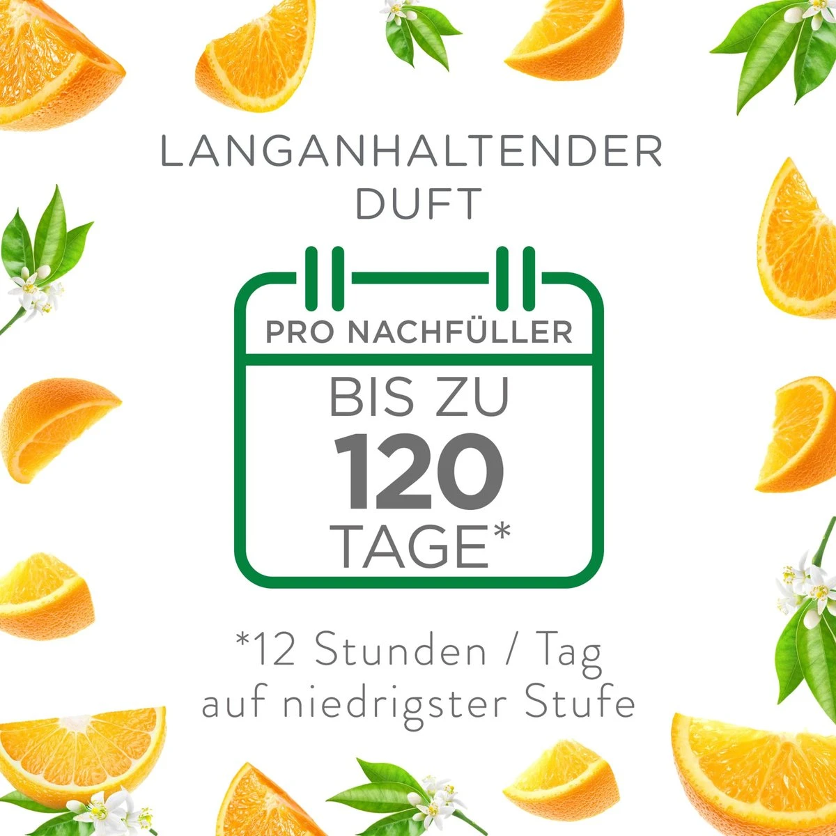 AirWick Désodorisant Bouchon Parfumé Agrumes Recharge, 19 Ml 7 AirWick Désodorisant Bouchon Parfumé Agrumes Recharge, 19 Ml – Image 5