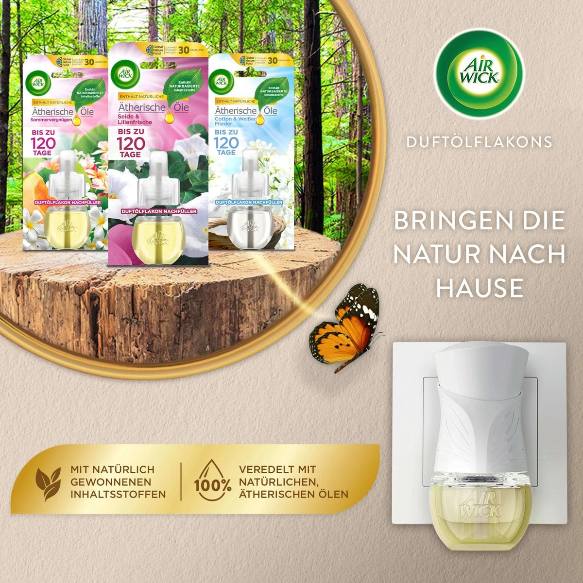 AirWick Désodorisant Bouchon Parfumé Agrumes Recharge, 19 Ml 10 AirWick Désodorisant Bouchon Parfumé Agrumes Recharge, 19 Ml – Image 8