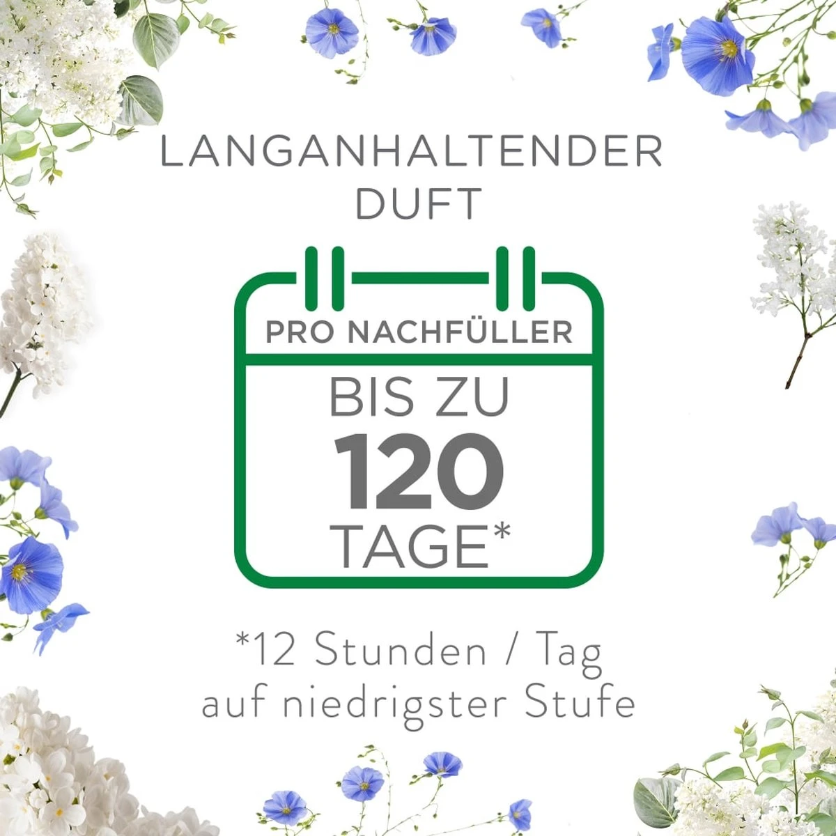 AirWick Désodorisant - Recharge Diffuseur D'arôme électrique Air Wick Katoen & Lilas Wit , 38 Ml 5 AirWick Désodorisant - Recharge Diffuseur D'arôme électrique Air Wick Katoen & Lilas Wit , 38 Ml – Image 3