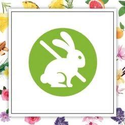 Bougie Parfumée Botanica By Air Wick - Vétiver Des Caraïbes Et Bois De Santal - 500gr -NIVEA shop 1200x1200 2