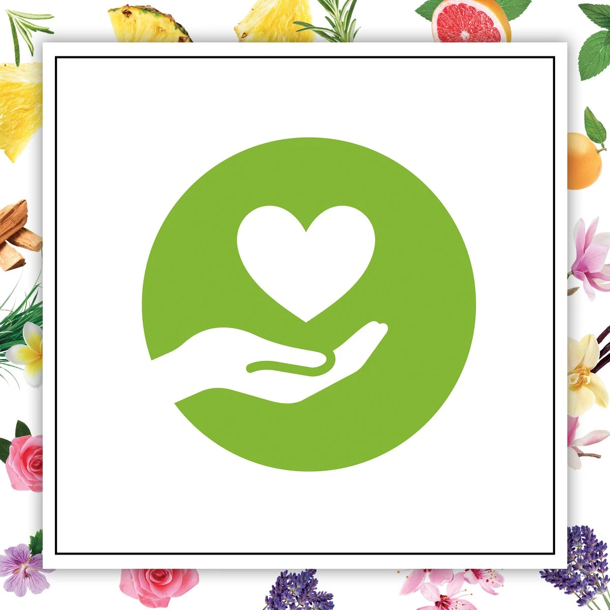 Botanica By Air Wick Bougie Parfumée - Magnolia De Himalaya & Vanille - 500gr 4 Botanica By Air Wick Bougie Parfumée - Magnolia De Himalaya & Vanille - 500gr – Image 2