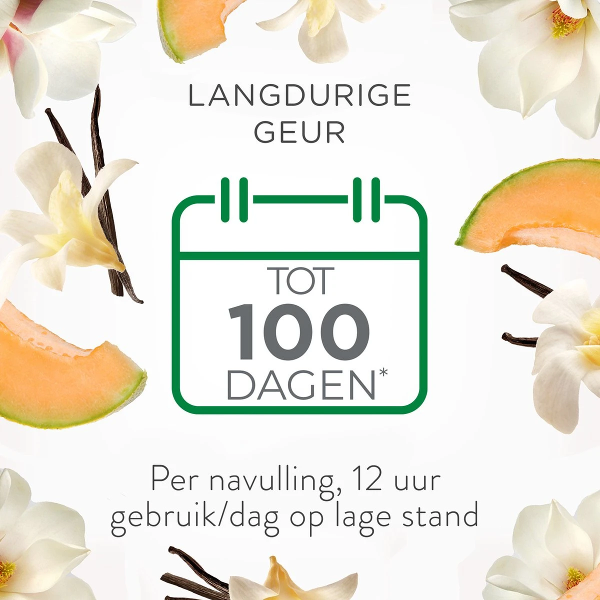 Désodorisant électrique Air Wick - Blissful Summer - 1 Kit De Démarrage + 3 Recharges 9 Désodorisant électrique Air Wick - Blissful Summer - 1 Kit De Démarrage + 3 Recharges – Image 7