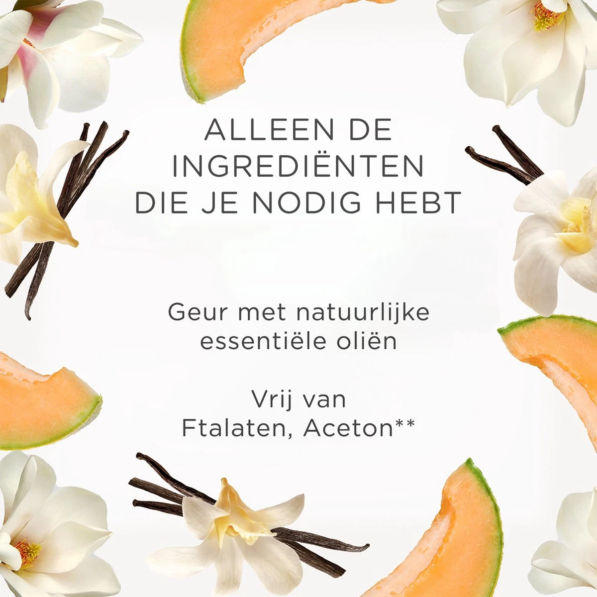 Désodorisant électrique Air Wick - Blissful Summer - 1 Kit De Démarrage + 3 Recharges 10 Désodorisant électrique Air Wick - Blissful Summer - 1 Kit De Démarrage + 3 Recharges – Image 8