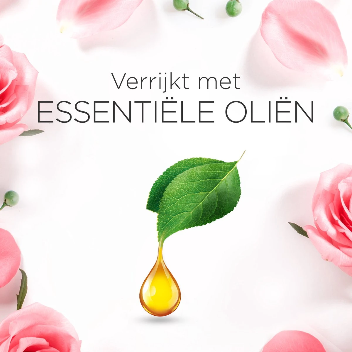 Air Wick Essential Mist - Roses Apaisantes - 1 Kit De Démarrage Blanc + 2 Recharges 9 Air Wick Essential Mist - Roses Apaisantes - 1 Kit De Démarrage Blanc + 2 Recharges – Image 7