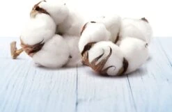 AirWick Désodorisant Freshmatic - Pure Douceur Du Katoen Recharge - Recharge, 500 Ml 7 AirWick Désodorisant Freshmatic - Pure Douceur Du Katoen Recharge - Recharge, 500 Ml -NIVEA shop 1200x780