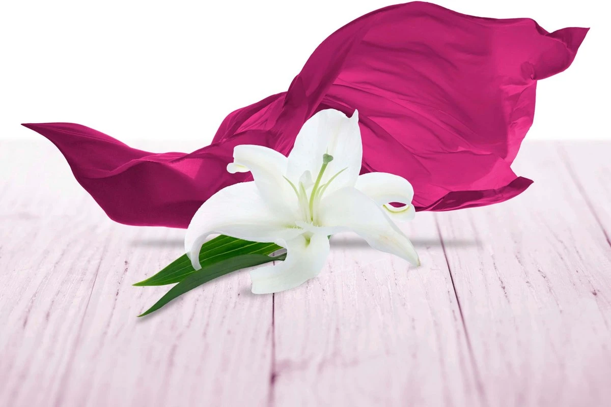 Recharge De Désodorisant AirWick Silk & Lily Fresh Plug, 19 Ml 4 Recharge De Désodorisant AirWick Silk & Lily Fresh Plug, 19 Ml – Image 2