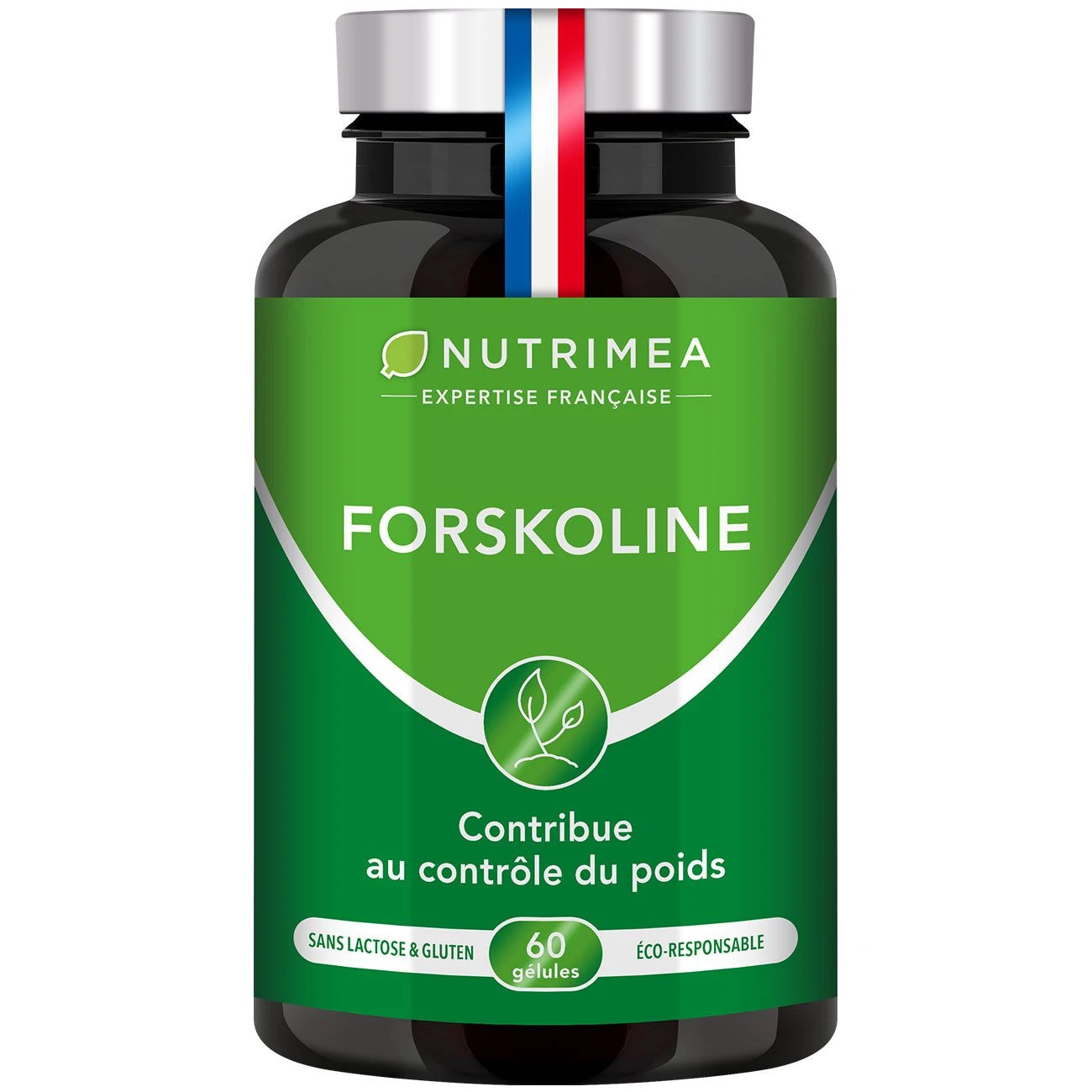 Forskoline | Coleus Forskohlii 4 Forskoline | Coleus Forskohlii – Image 2