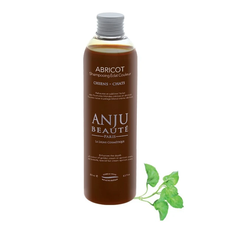 Shampooing à L'abricot Anju Beauté 250 Ml 3 Shampooing à L'abricot Anju Beauté 250 Ml