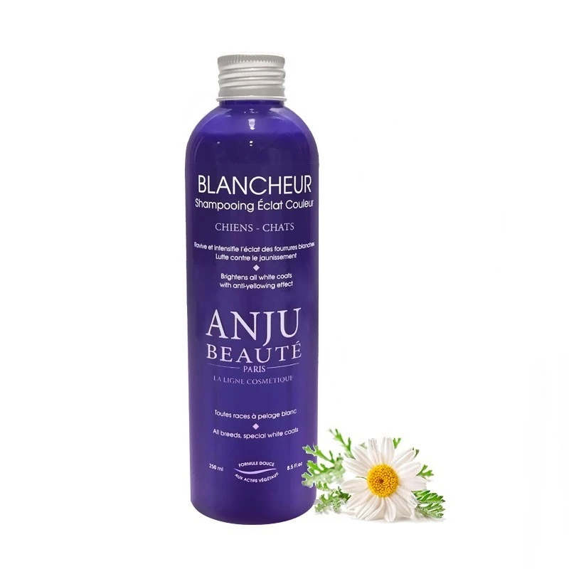 Shampooing Blancheur Anju Beauté 250 Ml 3 Shampooing Blancheur Anju Beauté 250 Ml