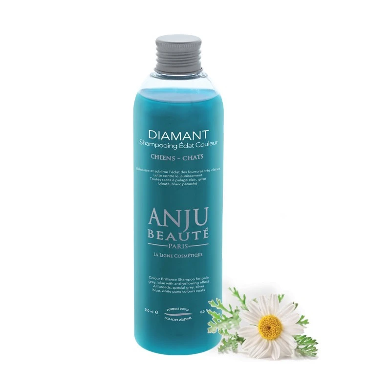Shampooing Éclat Couleur Diamant Anju Beauté 250 Ml 3 Shampooing Éclat Couleur Diamant Anju Beauté 250 Ml