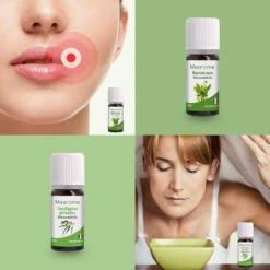 Coffret Plénitude - 8 Huiles Essentielles BIO 19 Coffret Plénitude - 8 Huiles Essentielles BIO -NIVEA shop aromatherapie coffret plenitude mearome 8 huiles essentielles bio ab 8