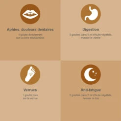 CLOU DE GIROFLE - Huile Essentielle Bio AB - 30ML 8 CLOU DE GIROFLE - Huile Essentielle Bio AB - 30ML -NIVEA shop clou de girofle huile essentielle bio ab 30 ml 2