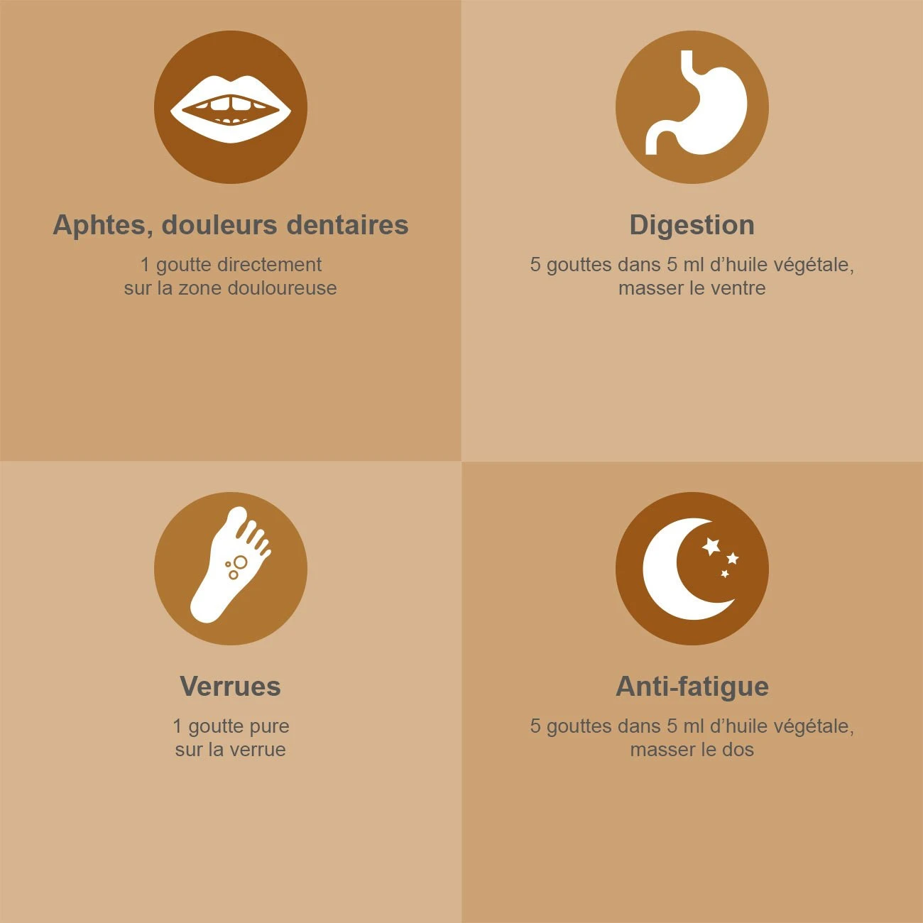 CLOU DE GIROFLE - Huile Essentielle Bio AB - 30ML 4 CLOU DE GIROFLE - Huile Essentielle Bio AB - 30ML – Image 3