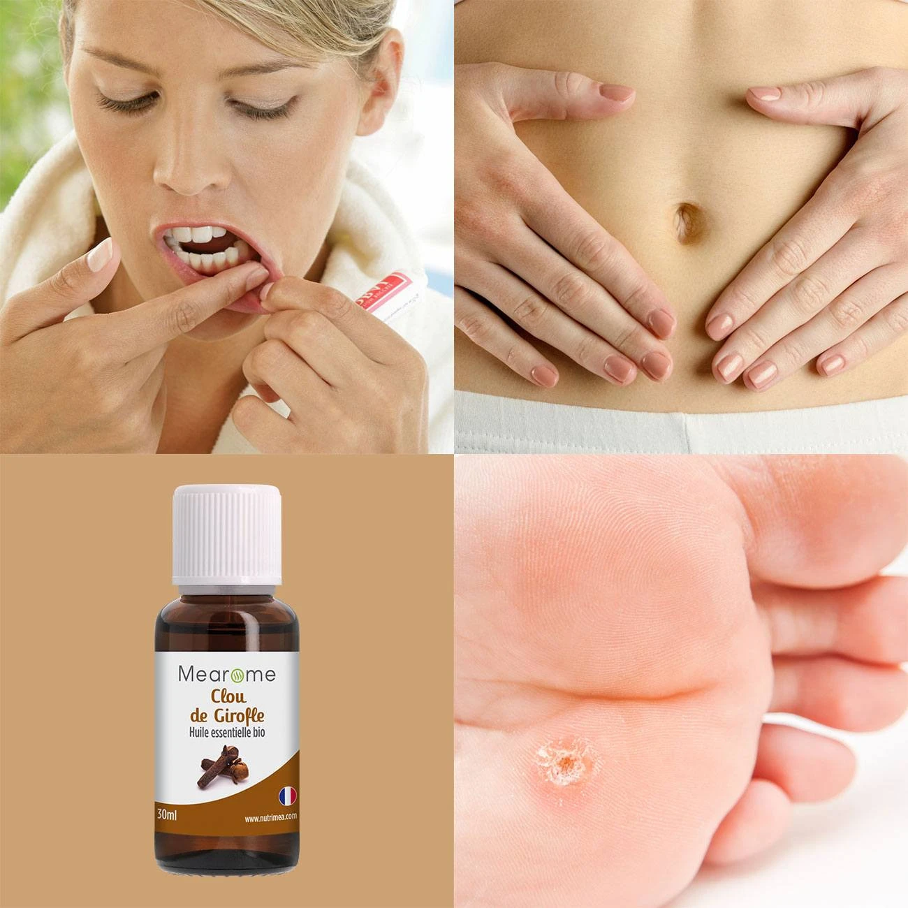 CLOU DE GIROFLE - Huile Essentielle Bio AB - 30ML 6 CLOU DE GIROFLE - Huile Essentielle Bio AB - 30ML – Image 5