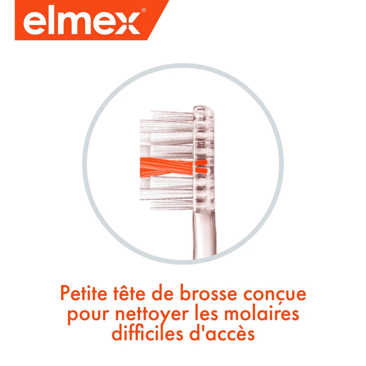 ANTI-CARIES INTERX - Brosse à Dents Souple, 2 Unités 4 ANTI-CARIES INTERX - Brosse à Dents Souple, 2 Unités – Image 2