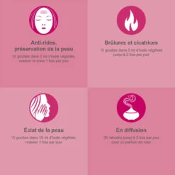 Huile Essentielle De GERANIUM ROSAT BIO - 30ML 9 Huile Essentielle De GERANIUM ROSAT BIO - 30ML -NIVEA shop huile essentielle de geranium rosat bio 2