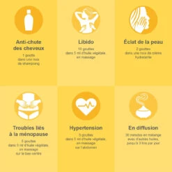 YLANG YLANG Complète - Huile Essentielle Bio AB 10ml 9 YLANG YLANG Complète - Huile Essentielle Bio AB 10ml -NIVEA shop ylang ylang complete huile essentielle bio ab 10ml 2