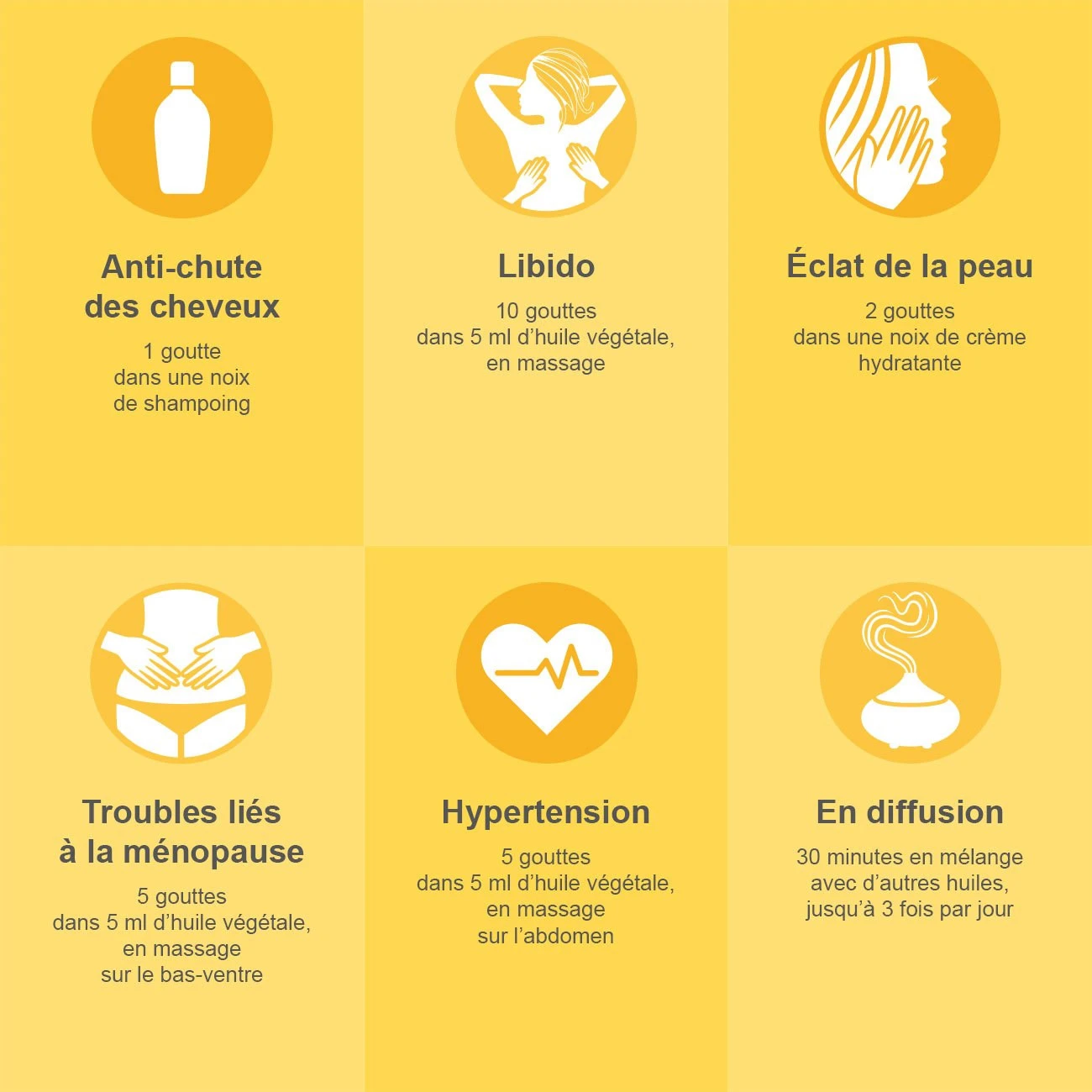 YLANG YLANG Complète - Huile Essentielle Bio AB 10ml 5 YLANG YLANG Complète - Huile Essentielle Bio AB 10ml – Image 3